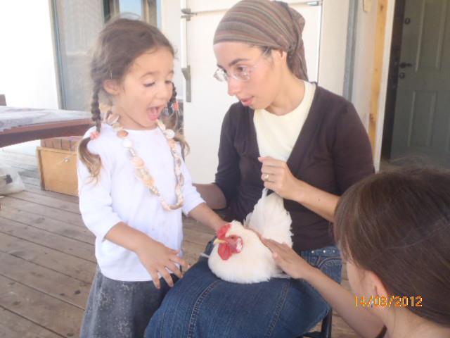 528034_10152046269445591_2094693728_n