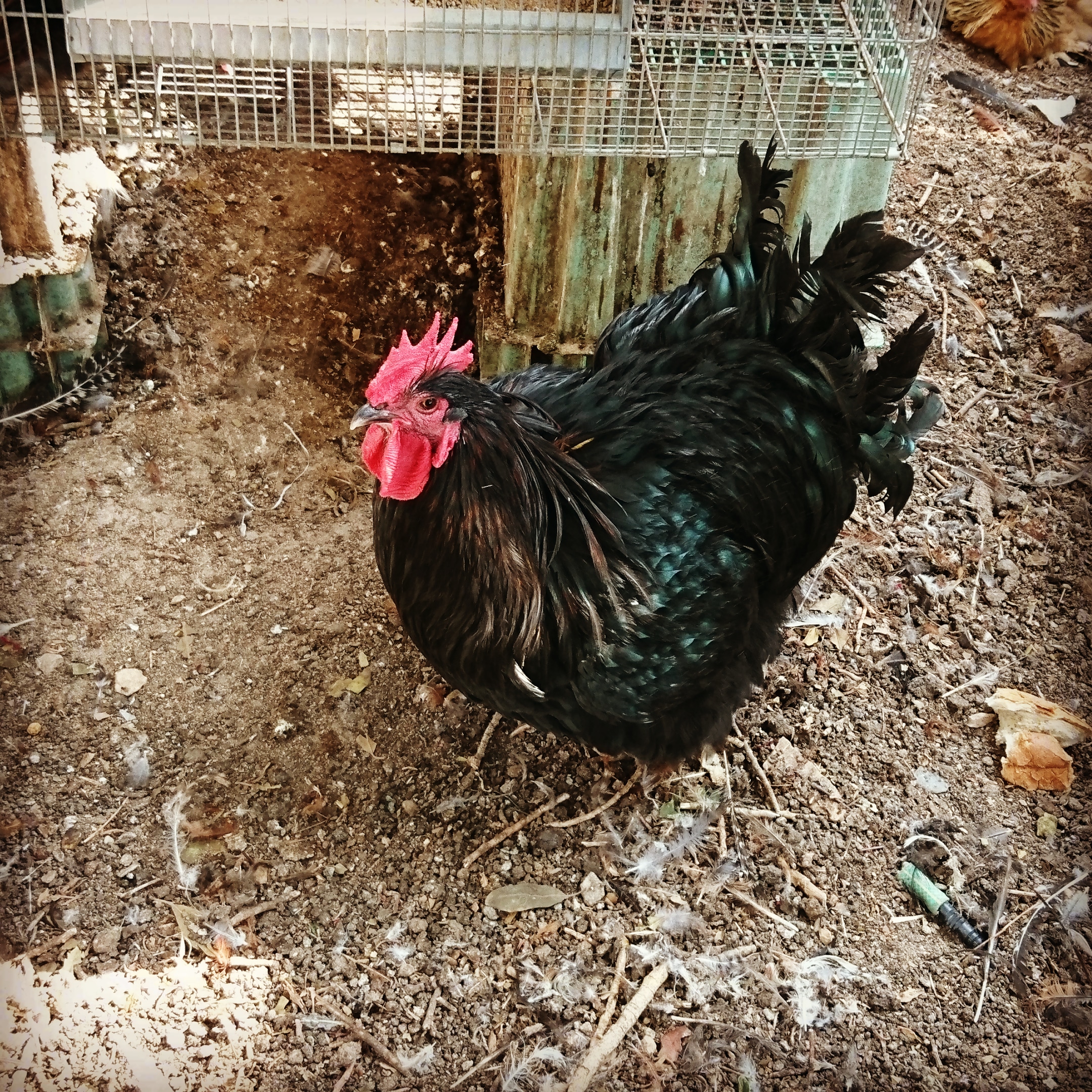 IMG_20191024_113520_596