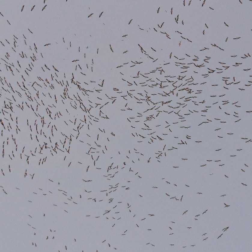 IMG_20200331_232724_900