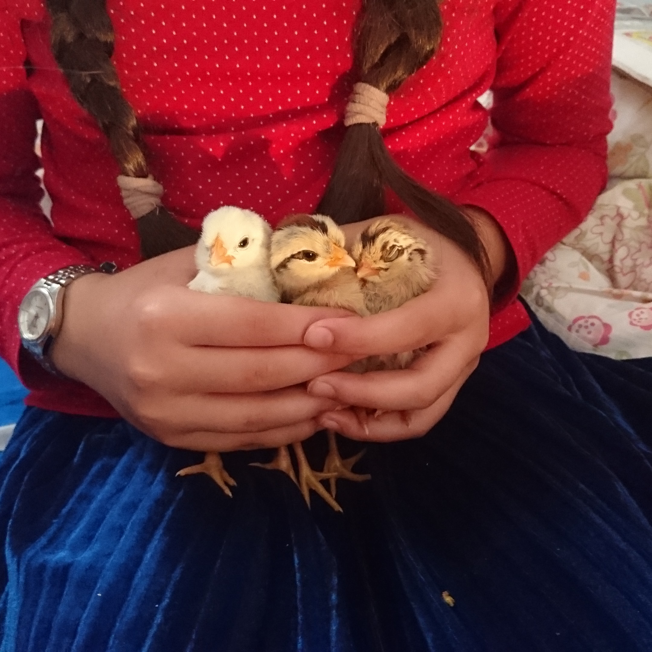 IMG_20200527_132257_428